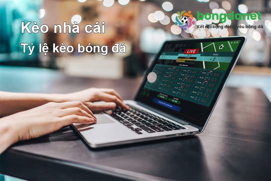 Cách đọc tỷ lệ kèo
